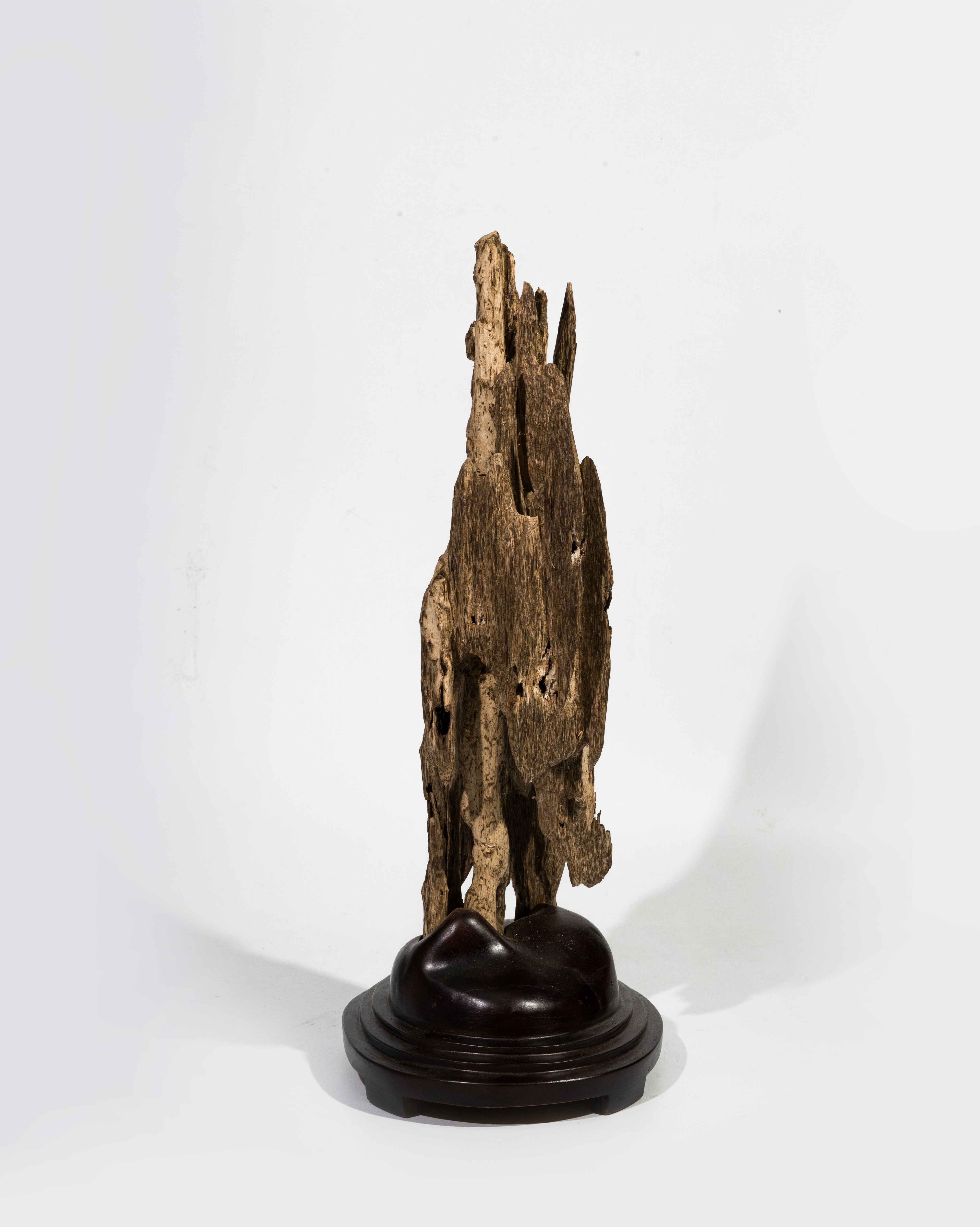 Mini Natural Agarwood Sculpture – Desk Display Oud – Wild Unique Form 42cm